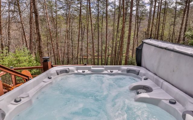 60 Clubhouse Court, Ellijay, GA 30536