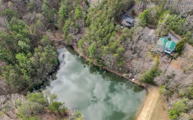 60 Clubhouse Court, Ellijay, GA 30536