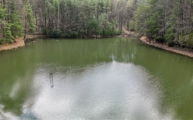 60 Clubhouse Court, Ellijay, GA 30536