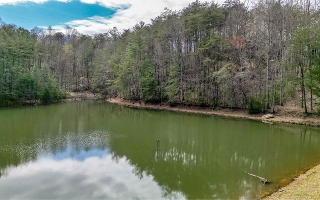 60 Clubhouse Court, Ellijay, GA 30536