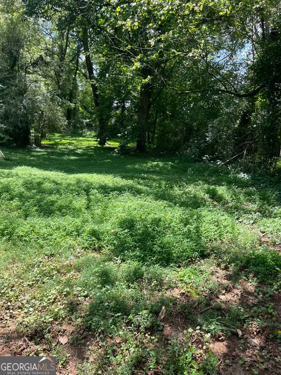 506 GRANT Street, Clarkesville, GA 30523 — photo 5