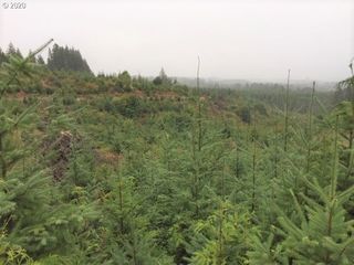 Nw Ridge Rd, Forest Grove, OR 97116