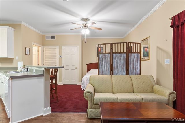 900 Red Drew 24, Tuscaloosa, AL 35401