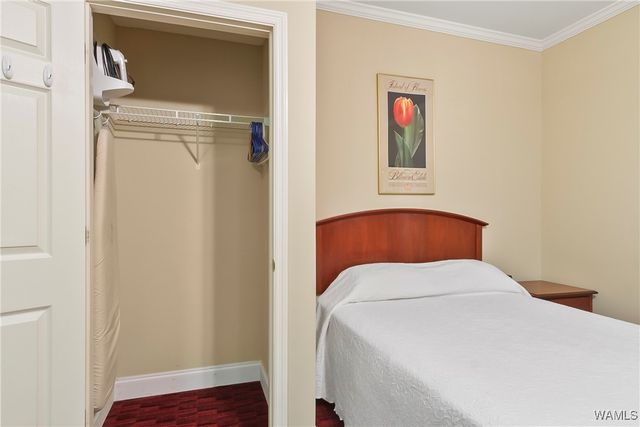 900 Red Drew 24, Tuscaloosa, AL 35401