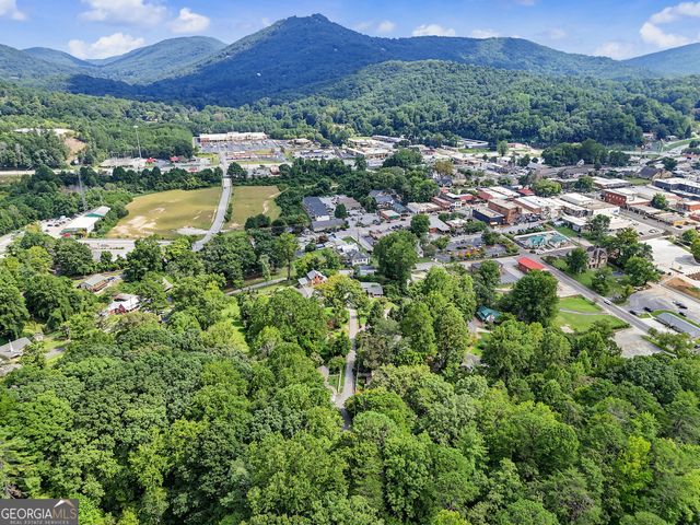 98 Pickett Hill Street, Clayton, GA 30525