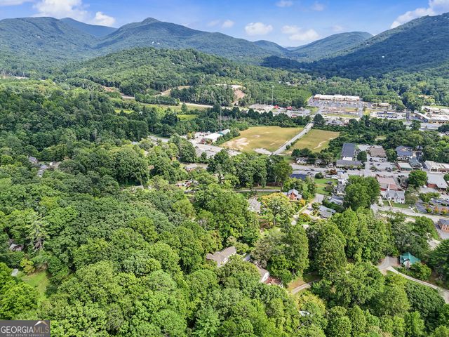 98 Pickett Hill Street, Clayton, GA 30525