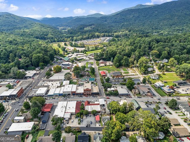 98 Pickett Hill Street, Clayton, GA 30525