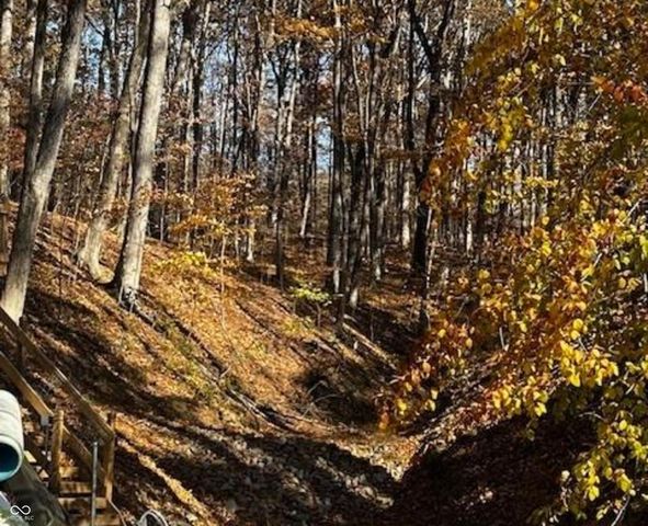 6427 Buffalo Drive, Nineveh, IN 46164