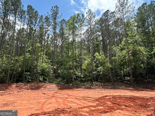351 Cherokee Trail, Forsyth, GA 31029