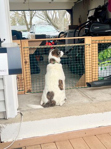 305 2nd Court, Crystal Lake, IL 60014