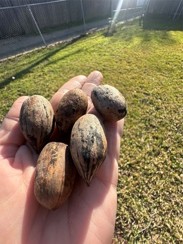 610 Greencove Drive, Garland, TX 75040