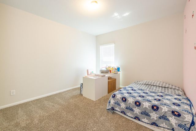 24823 Goldoni Drive, Katy, TX 77493