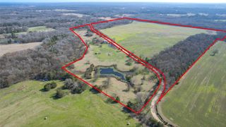 102 Acres County Road 2376, Winnsboro, TX 75494