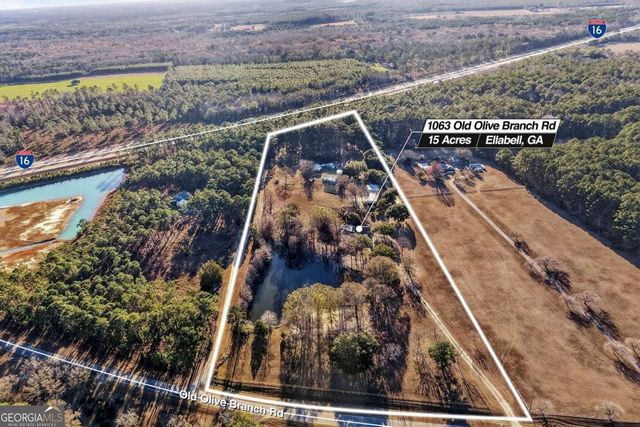 1063 Old Olive Branch Road, Ellabell, GA 31308