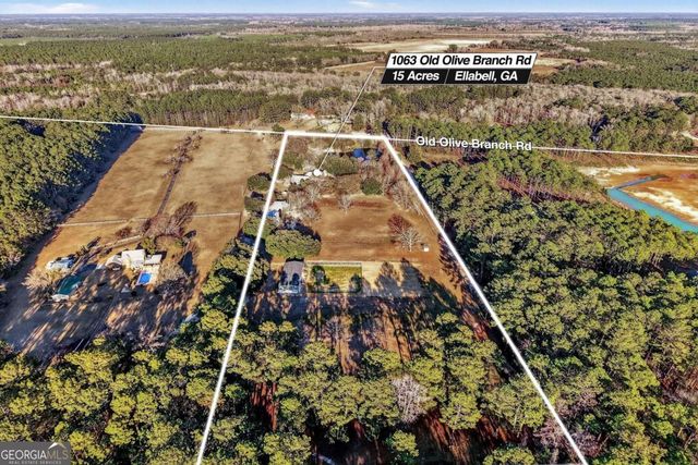 1063 Old Olive Branch Road, Ellabell, GA 31308