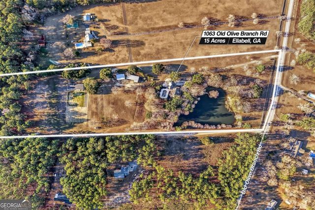 1063 Old Olive Branch Road, Ellabell, GA 31308