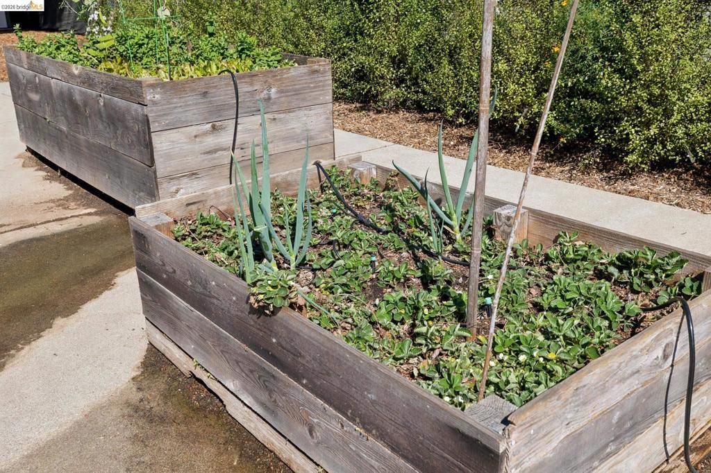 Image 35 of property listing at 2161 48th AVE, Oakland, CA 94601