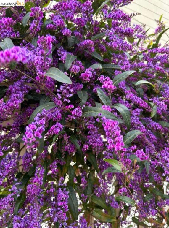 Image 45 of property listing at 2161 48th AVE, Oakland, CA 94601