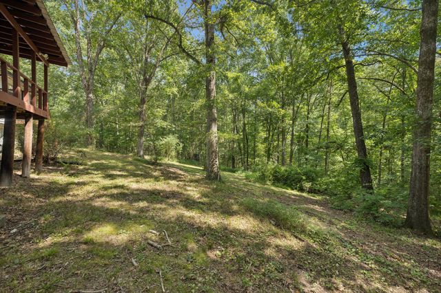 61 Brazzle Rd, Waverly, TN 37185