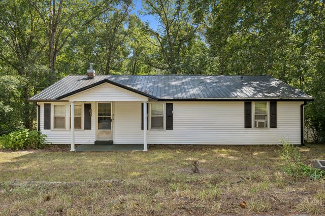61 Brazzle Rd, Waverly, TN 37185