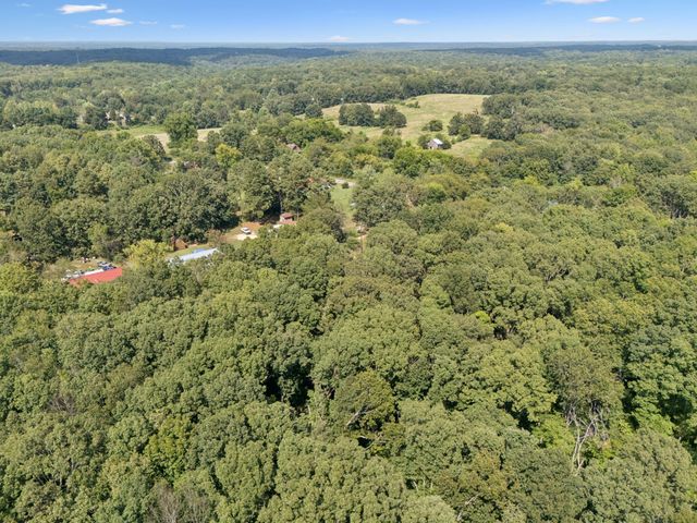 61 Brazzle Rd, Waverly, TN 37185