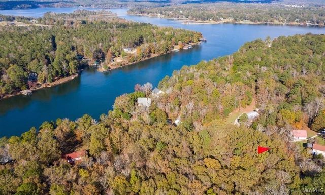 11919 Weeping Willow, Northport, AL 35475