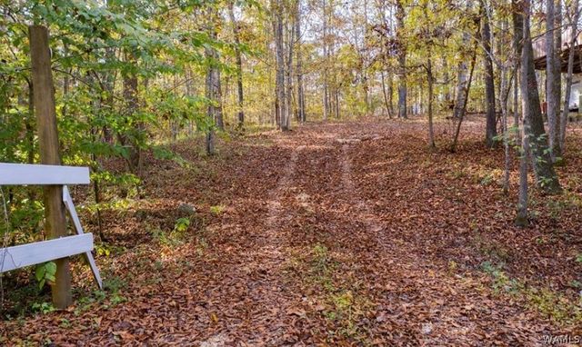 11919 Weeping Willow, Northport, AL 35475