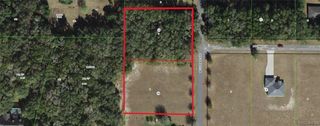 3002 N Clements Avenue, Hernando, FL 34442