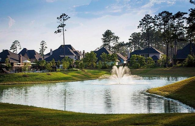 10467 Lake Palmetto Drive, Conroe, TX 77385