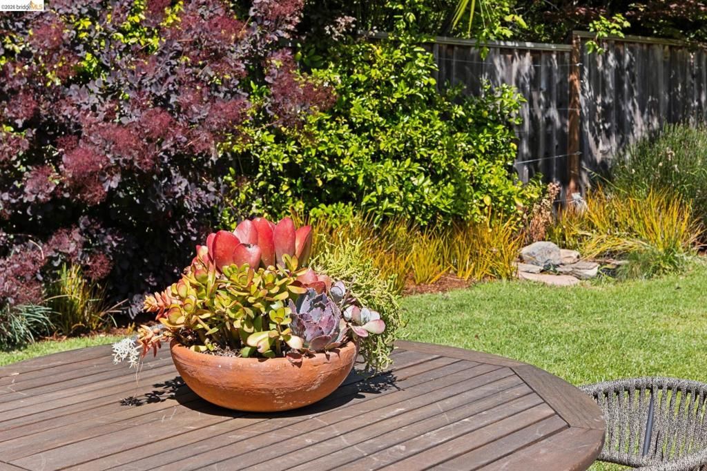 Image 68 of property listing at 949 Ordway Street, Albany, CA 94706