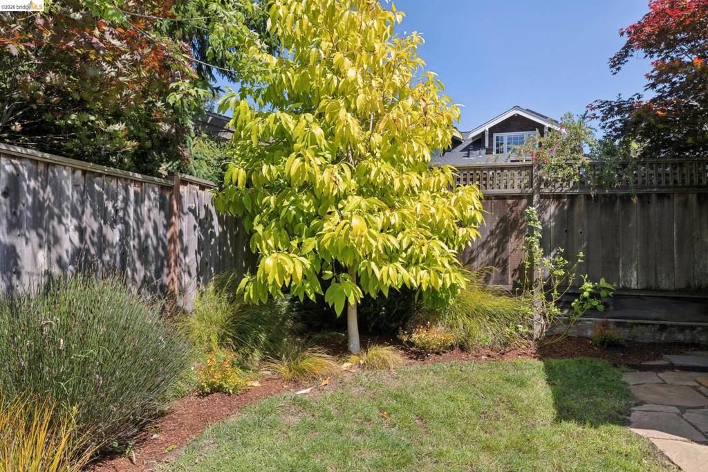 Image 77 of property listing at 949 Ordway Street, Albany, CA 94706