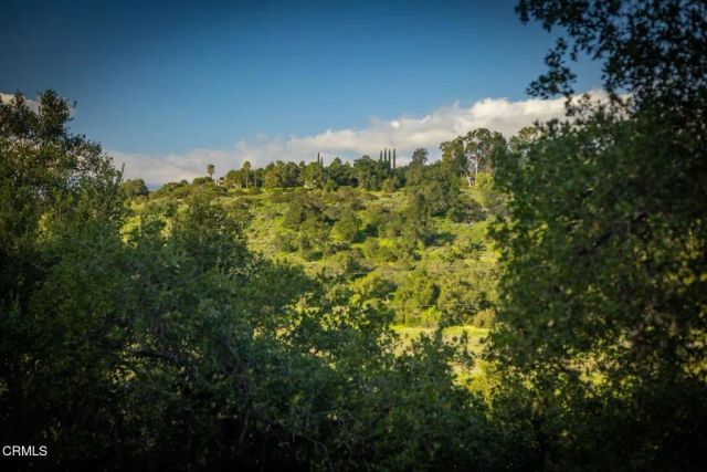 11966 N Ventura Avenue, Ojai, CA 93023