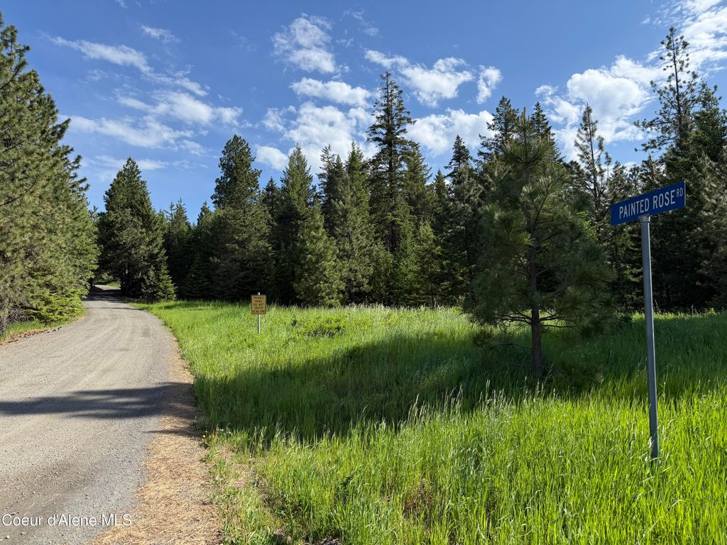 17442 S Painted Rose Rd, Worley, ID 83876 photo 57