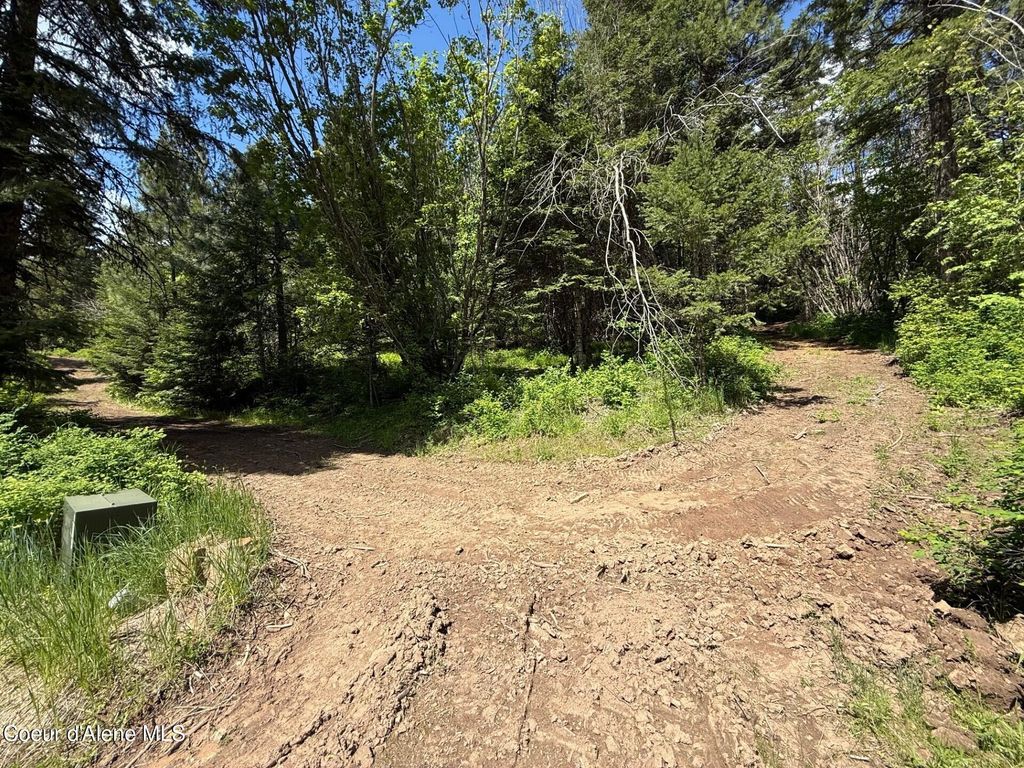 17442 S Painted Rose Rd, Worley, ID 83876 photo 63