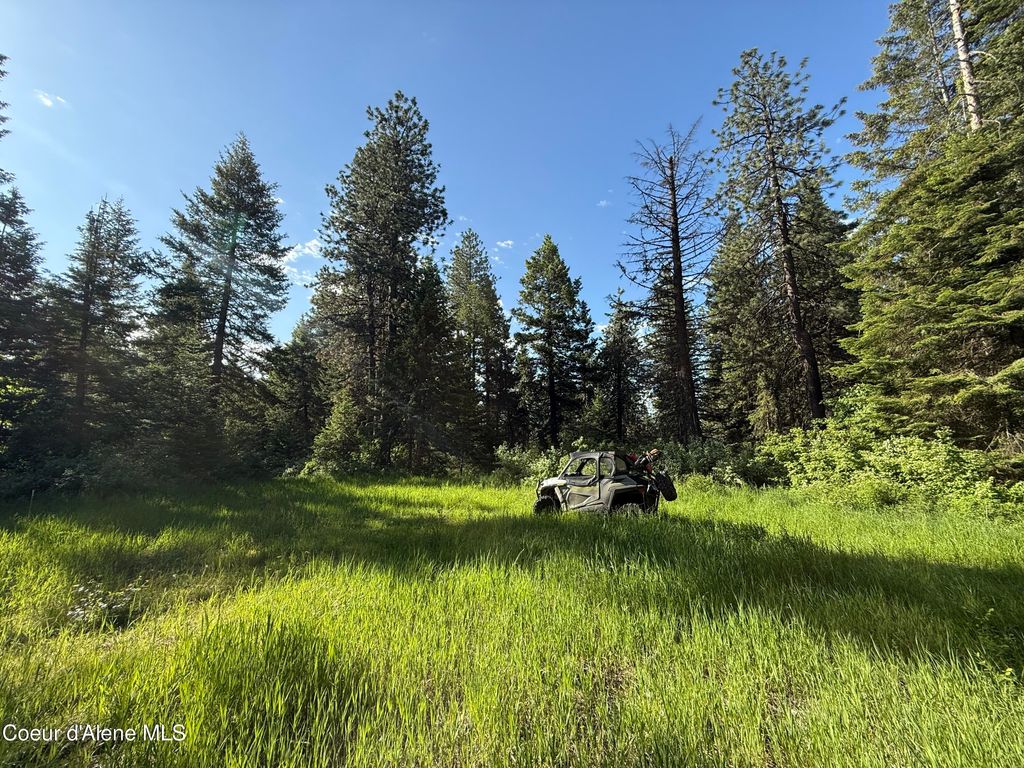 17442 S Painted Rose Rd, Worley, ID 83876 photo 66