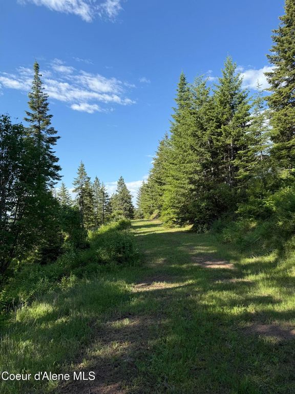 17442 S Painted Rose Rd, Worley, ID 83876 photo 67