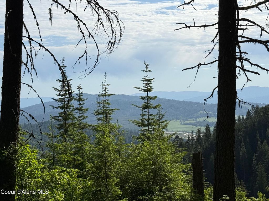 17442 S Painted Rose Rd, Worley, ID 83876 photo 68