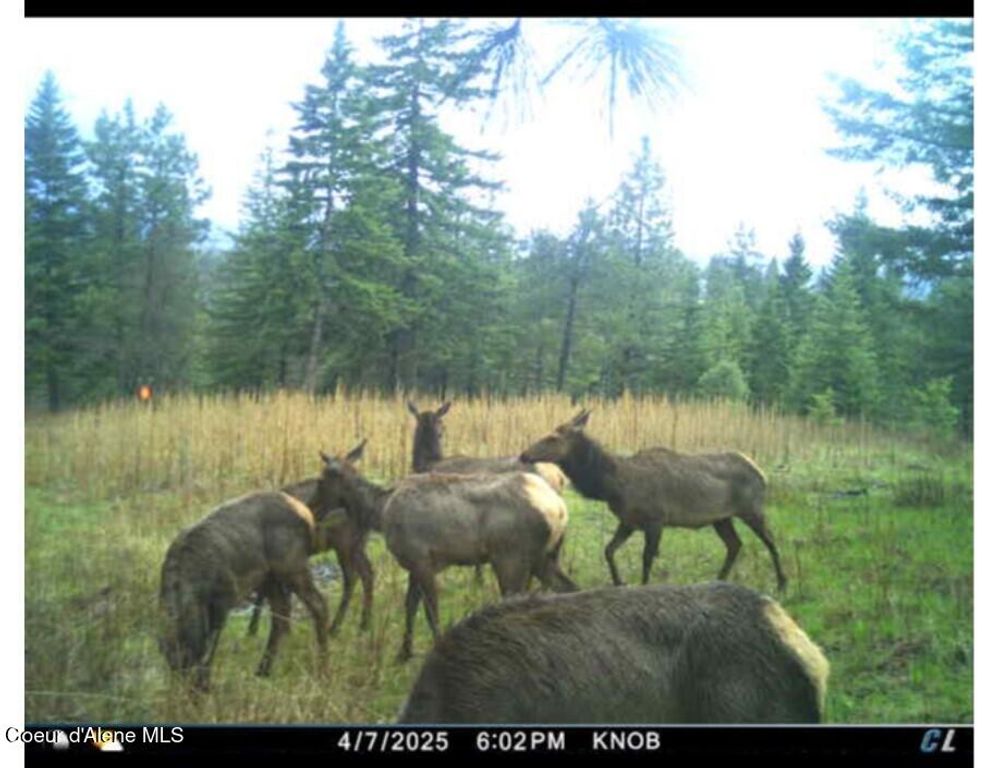 17442 S Painted Rose Rd, Worley, ID 83876 photo 73