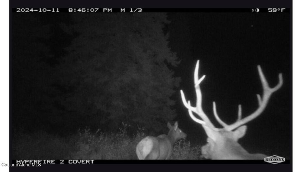 17442 S Painted Rose Rd, Worley, ID 83876 photo 75