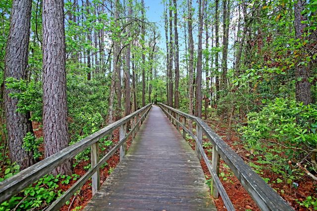 3438 Attley Street, Mount Pleasant, SC 29466