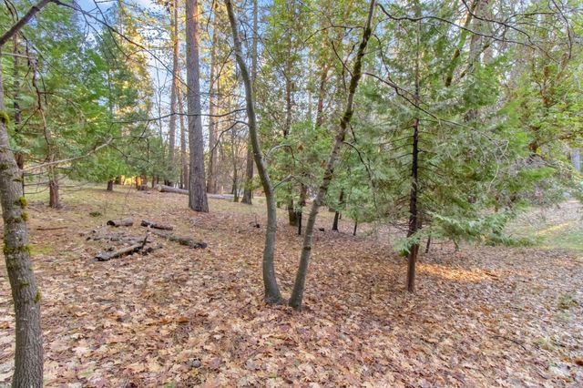 4610 Tracy Ln, Garden Valley, CA 95633