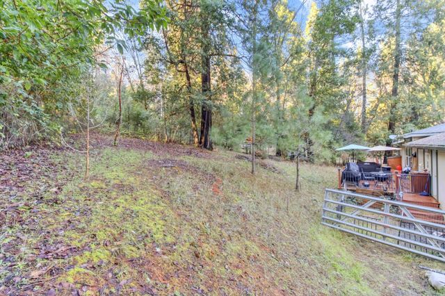 4610 Tracy Ln, Garden Valley, CA 95633