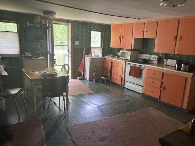 4779 3rd Street, Barryton, MI 49305