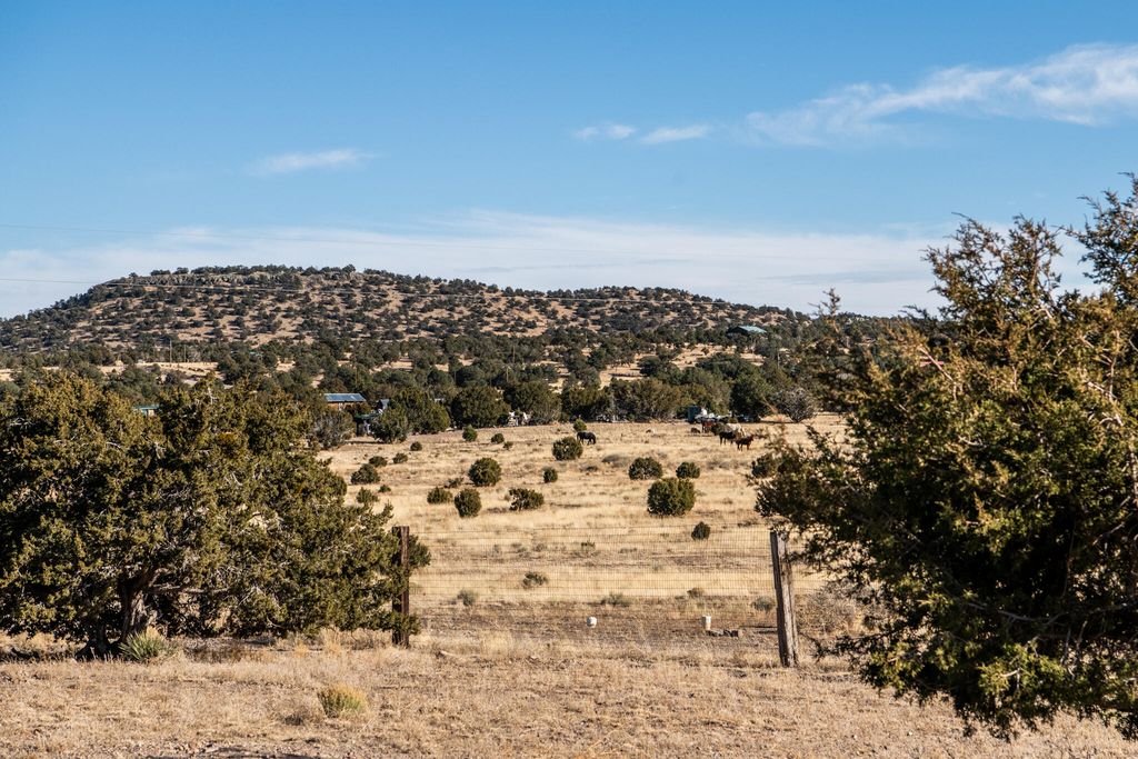 Image 6 of property listing at 250 Frontier Trail, Datil, NM 87821