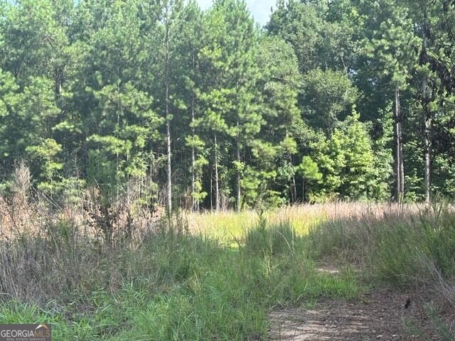3030 Wood Valley Court, Loganville, GA 30052