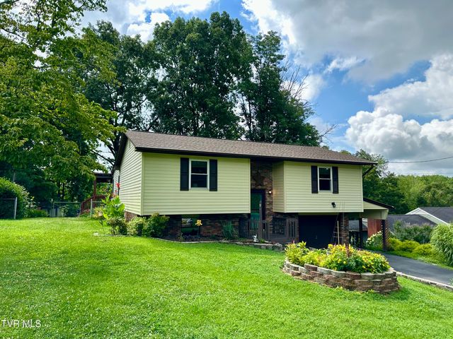233 Lakeview Circle, Kingsport, TN 37663