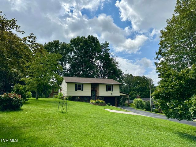 233 Lakeview Circle, Kingsport, TN 37663