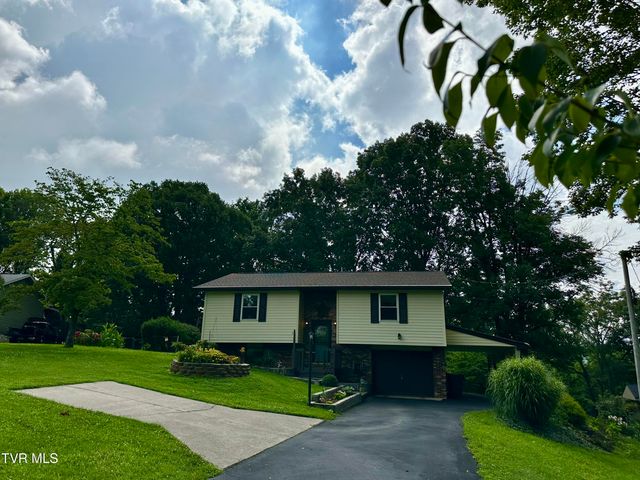 233 Lakeview Circle, Kingsport, TN 37663