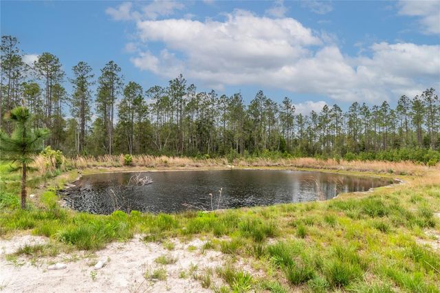 12655 NE 215TH STREET, Fort Mc Coy, FL 32134
