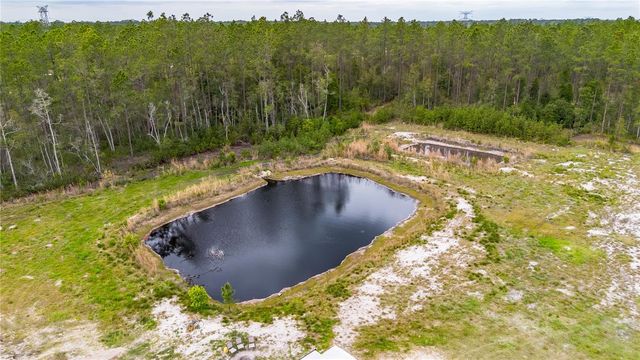12655 NE 215TH STREET, Fort Mc Coy, FL 32134